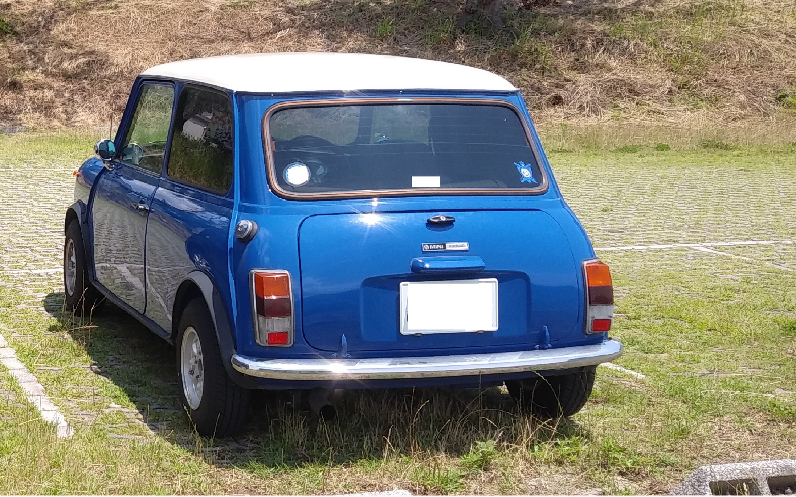 mini-rear